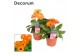 Gerbera flori line oranje in hoes decorum 