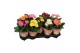 Gerbera mix patio beauty ptocover dubbelbloemig, 