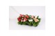 Gerbera mix Gerbera Twister belicht 2+ bl 12cm voorjaarsmix 2 bl. 500 