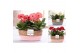 Gerbera mix belicht 2+ in Pure Collection fieldbasket 7 