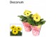 Gerbera flori line geel potcover decorum 