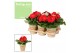 Gerbera flori line rood feel green nature potcover decorum 