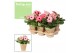 Gerbera flori line roze feel green nature potcover decorum 