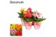 Gerbera mix 3+ bl  potcover Decorum 
