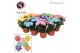 Chrysanthemum ind. chrystal mix 