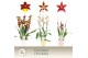 Cambria grp mix 3 kleuren Cambria, Mix 3-spike in Lotte Mix Exclusiva  