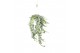 Hedera helix white wonder 20pp - 80-90cm Rank - Hangpot XXL 