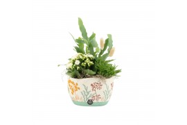 Arrangementen kamerplanten 31512: Maritiem arrangement 3 pp