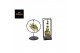 Dischidia nummularia Shelly Cube/Ring mix (Medium) 