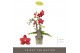 Phalaenopsis multiflora rood Optifriend Rosa 3spike,3 tak/plnt,150,15  