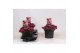 Sedum spurium deep rose 