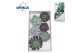 Echeveria snij Mix (wincx) Cutfl (6spc.) 999 