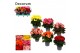 Begonia elatior du. mix decorum  prijs per kar 