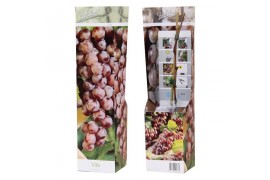 Vitis vinifera rood