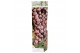 Vitis vinifera rood 