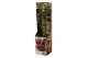 Lycium barbarum goji superfruit 