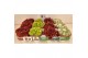 Sempervivum 4 soorten per tray 
