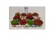 Sempervivum 6 soorten per tray 