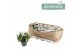 Campanula port. ambella white 
