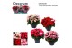 Begonia (elatior grp) betulia mix Decorum 