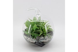 Arrangementen kamerplanten GRCR-2542 Green Essentials Terrarium 3 pp