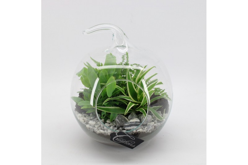 Arrangementen kamerplanten GRCR-2542 Green Essentials Terrarium 3 pp 