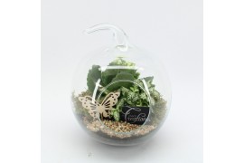Arrangementen kamerplanten ESCR-2502W Essentials terrarium 2 pp