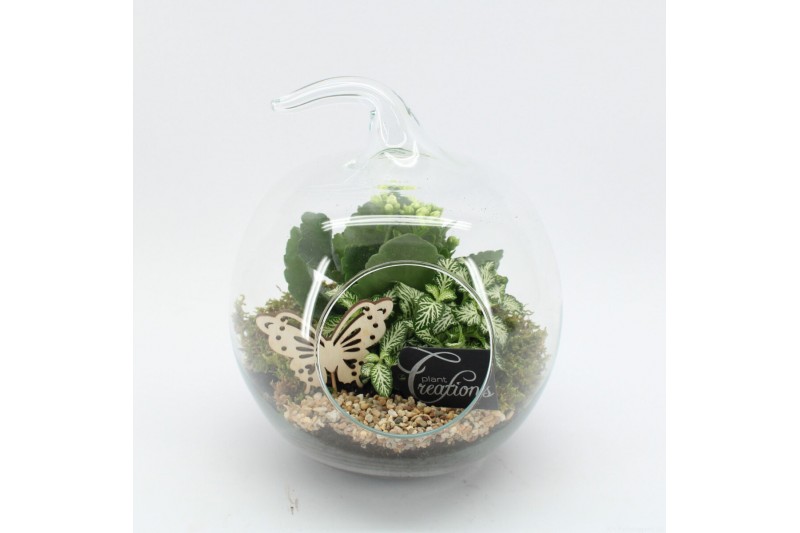 Arrangementen kamerplanten ESCR-2502W Essentials terrarium 2 pp Arrangementen kamerplanten ESCR-2502W Essentials terrarium 2 pp