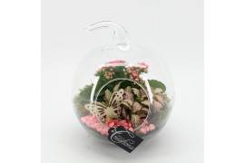 Arrangementen kamerplanten ESCR-2502RZ Essentials terrarium 2 pp