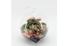 Arrangementen kamerplanten ESCR-2502RZ Essentials terrarium 2 pp