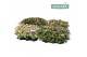 Hebe addenda mix addenda groen/bont mixlaag 