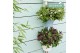 Hebe addenda mix addenda groen/bont mixtray 