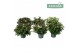 Hebe addenda mix Donna® Mix tray groen 