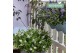 Hebe addenda mix Donna® Mix tray groen 