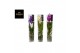 Vanda hybriden Michelle glas - Colour mix 