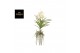 Vanda hybriden Tayanee White - L 