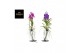 Vanda hybriden Metal Standard - Colour mix 