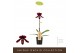 Paphiopedilum Red - 1 bloem 