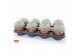 Echeveria lilacina silver pearl SuPure® pearls 8gts 
