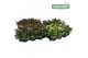Hebe addenda mix donna groen mixlaag 