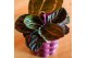 Calathea dottie Kolibri Greens Calathea Dottie 1 pp  cm diameter 