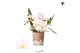 Phalaenopsis Anthura  Nazare Kolibri Orchids - Nazare - 4 tak 