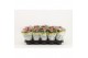 Kalanchoe rosalina don nando Catchy Season roze 