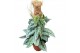 Scindapsus Silver Lady 