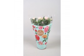 Rosa favourite roze licht roze + seizoenshoes