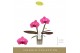 Phalaenopsis paars Singolo & Co - Hida - 2 bloem 