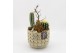 Arrangementen cactus CTCR-2518 Cactus Essentials 3 pp 