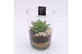 Arrangementen kamerplanten GRCR-2538 Green Essentials 1 pp