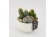 Arrangementen cactus CTCR-2532 Cactus Essentials 3 pp 