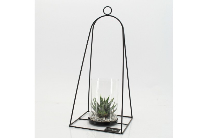 Arrangementen kamerplanten GRCR-2577 Green Essentials 1 pp Arrangementen kamerplanten GRCR-2577 Green Essentials 1 pp